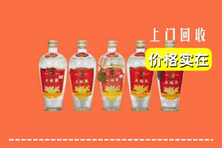 沧州市盐山回收老五粮液